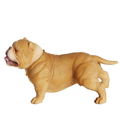American Bully Exotic Statue 1:6 (4)