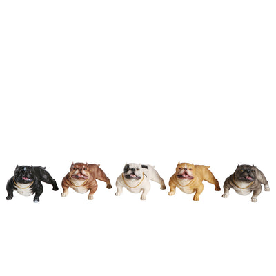 American Bully Exotic Statue 1:6 (5)