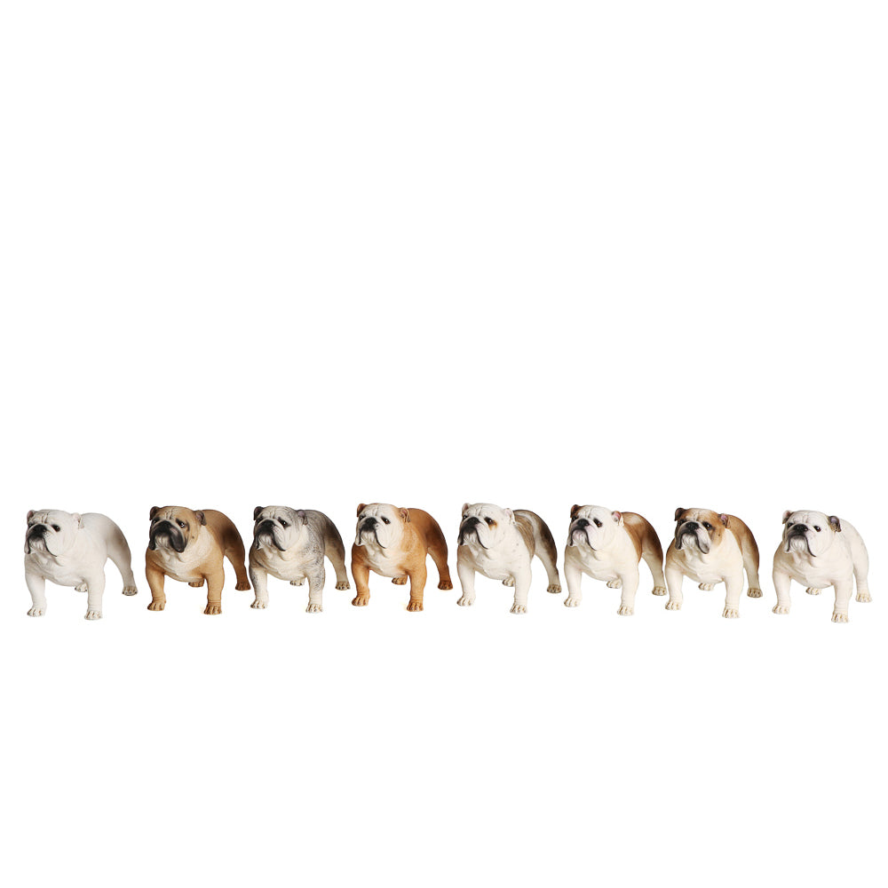 English Bulldog Statue 1:4 (6)