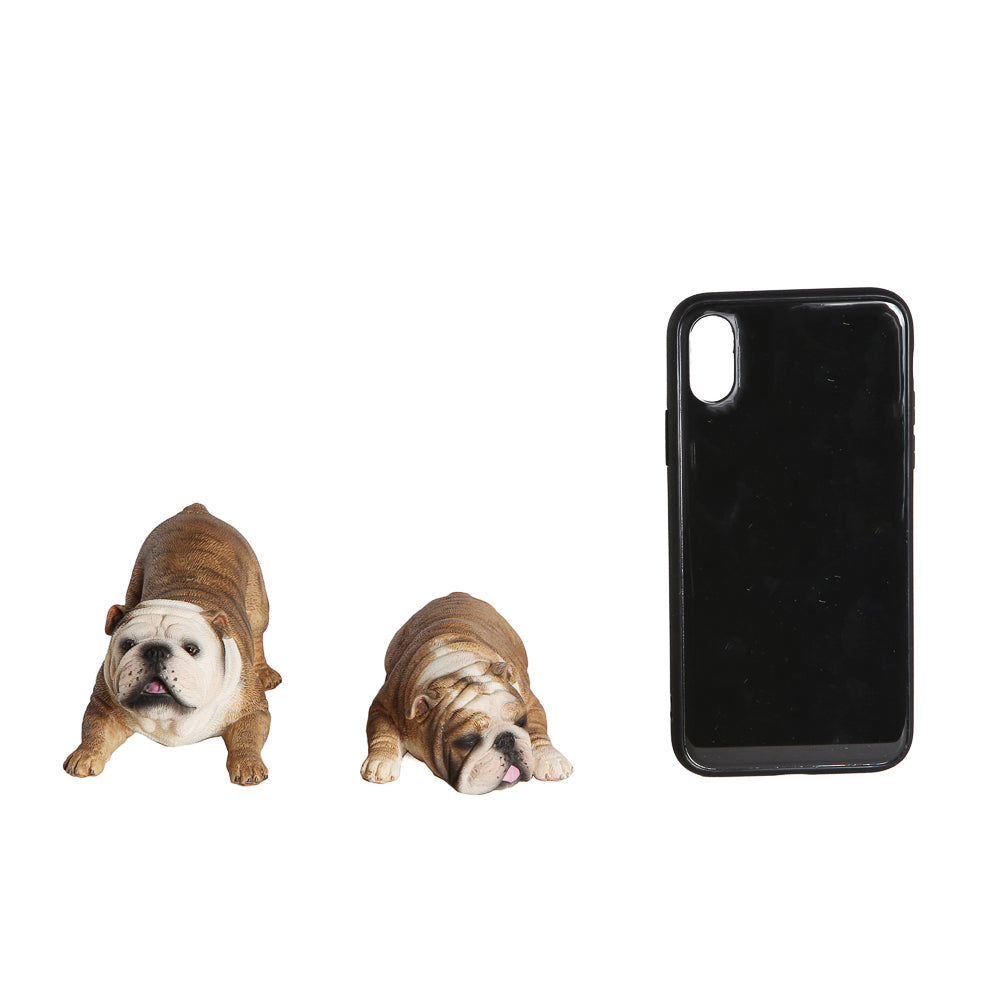 English Bulldog Male & Female Set Statue 1:6 (2)