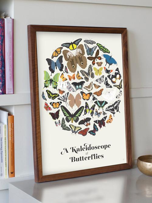 A Kaleidoscope of Butterflies Poster