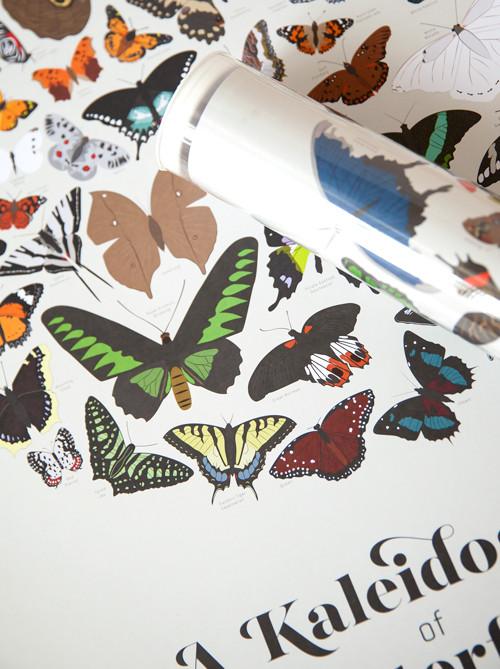A Kaleidoscope of Butterflies Poster