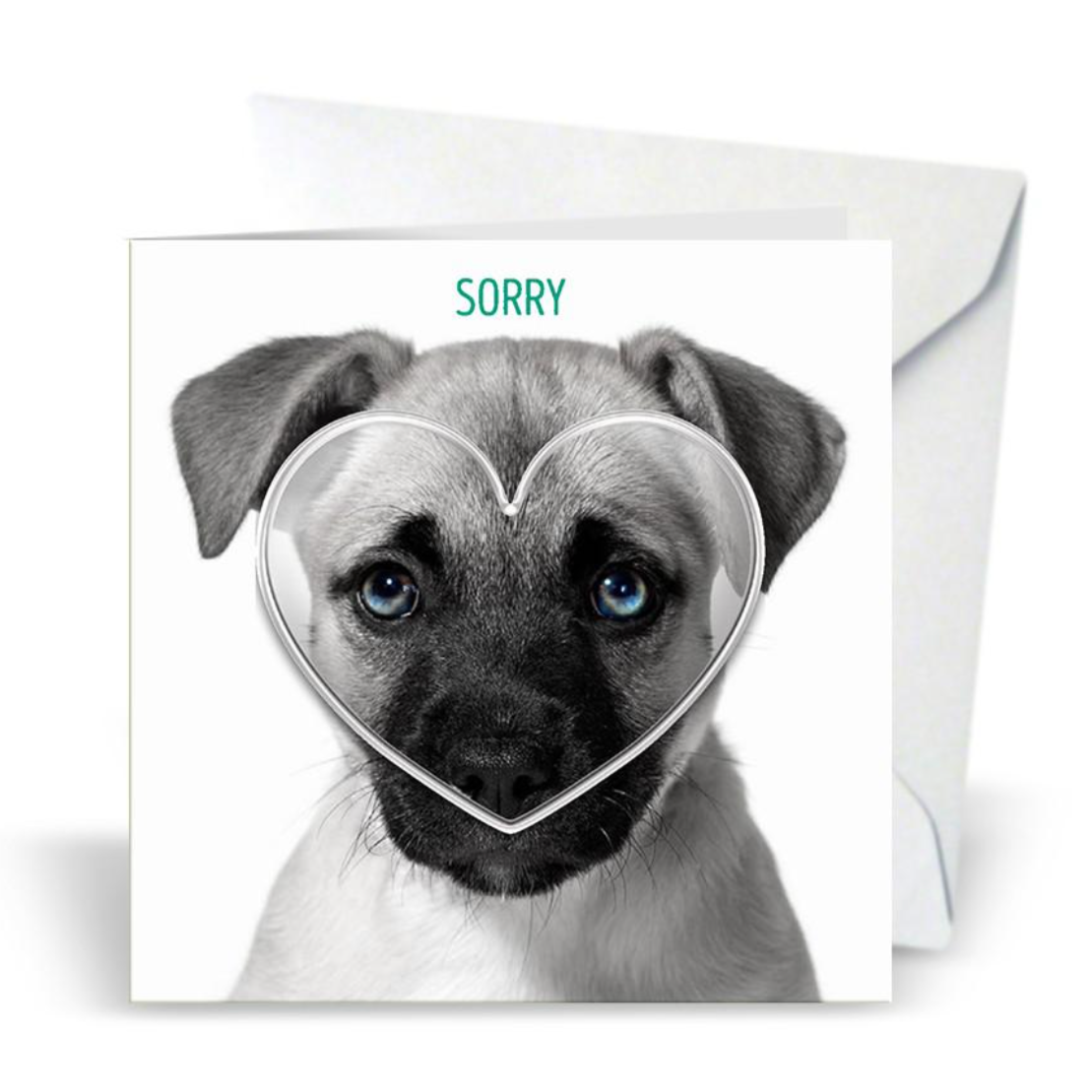 Puppy Sorry Greeting Card with Heart Magnet