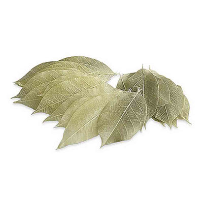 Soap Leaves - Green Leaves