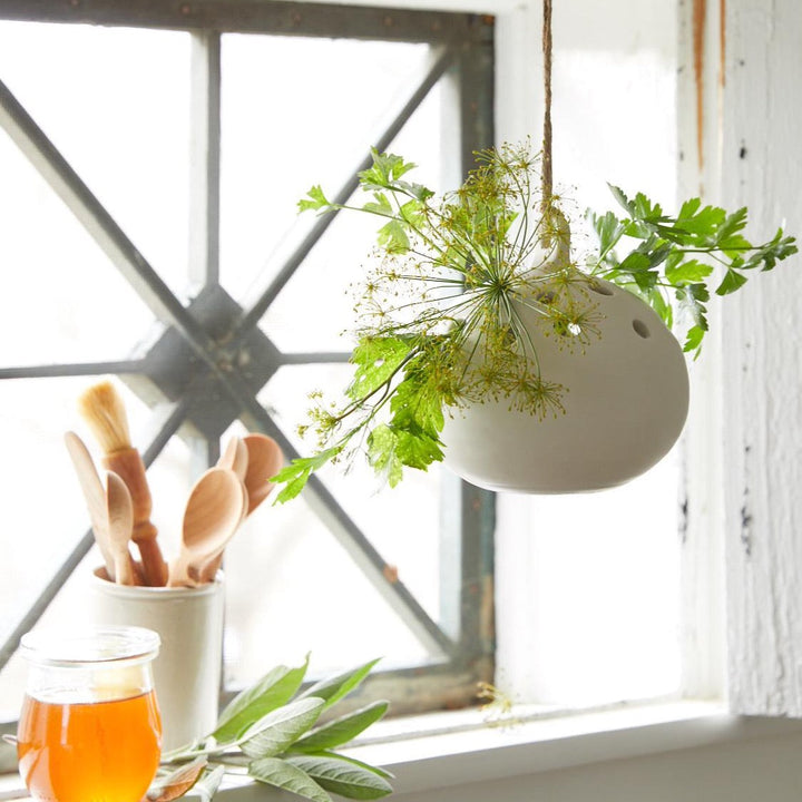 hanging frog planter Ceramic Hanging Flower Frog Vase by The Floral Society