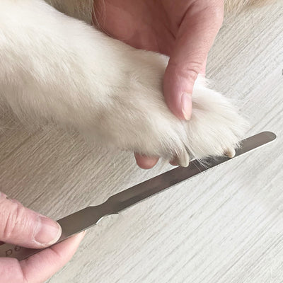 Steel Handcrafted Nail File for Dogs & Cats