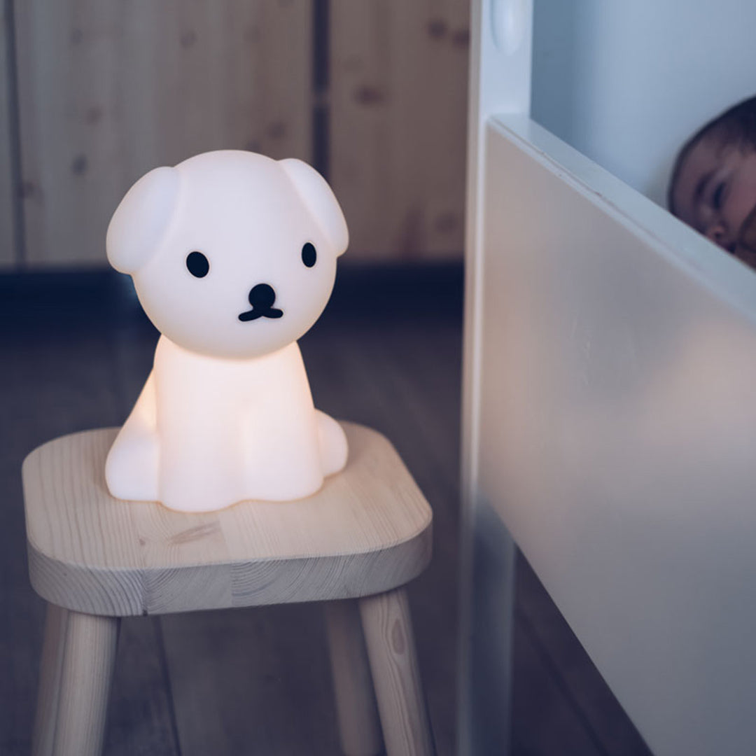 Snuffy Night Light LED Lamp by Mr Maria